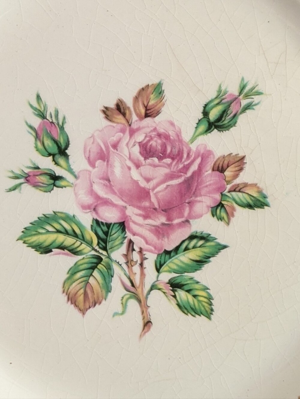 Dominion China Plate USA Briar Rose Floral 22K Gold 10 1/8